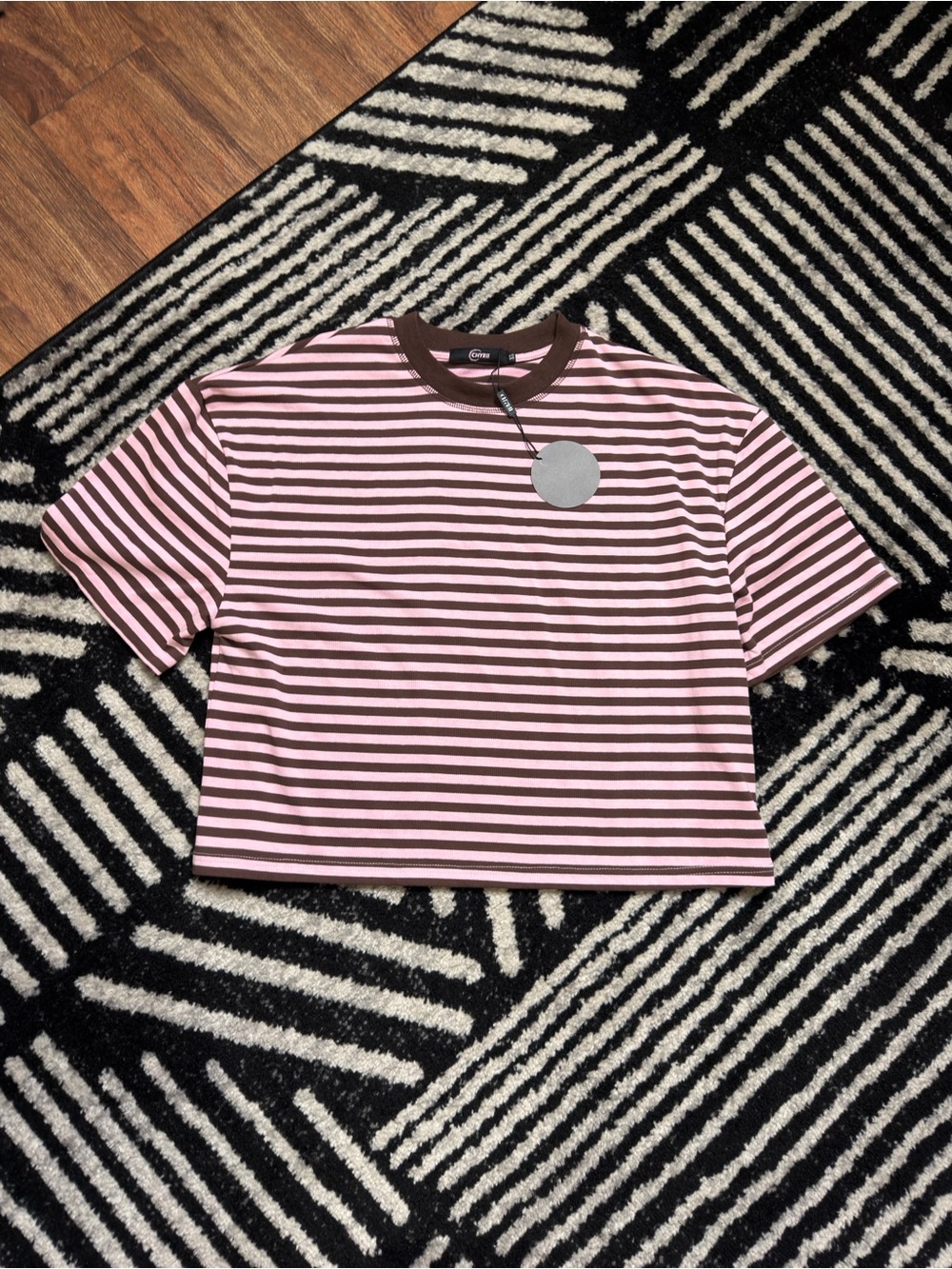 Striped Pink and Brown Cropped Tee - Women